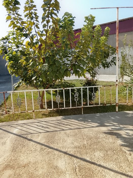 Xovli sotiladi 9 sotiq pernatal tarafga joylashgan