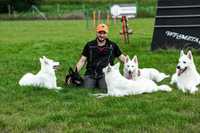 Dresaj canin sportiv Ludus - Transylvanian Wolves Dogsport