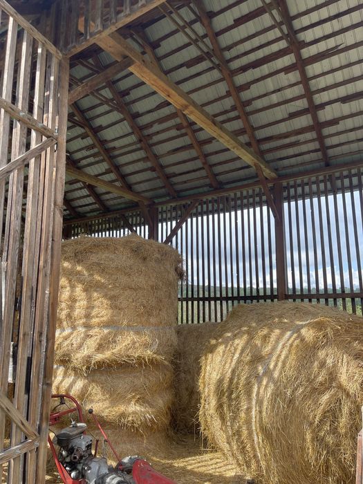 Vând baloți rotunzi!