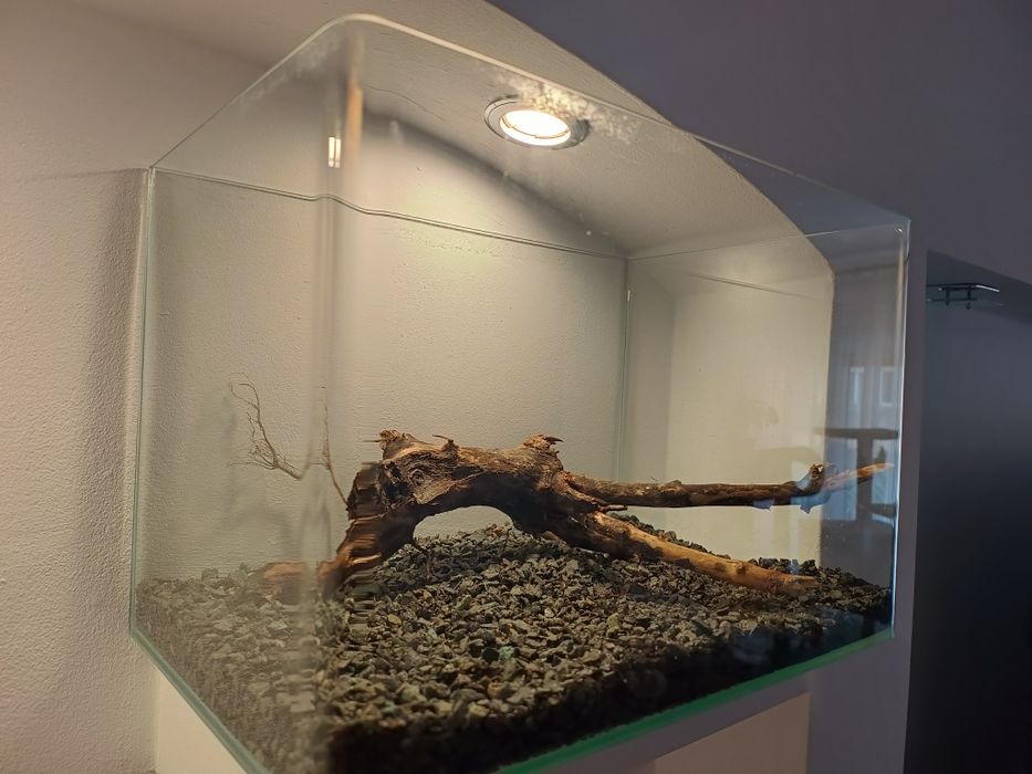 Acvariu aproape nou cu substrat si lemn natural decor