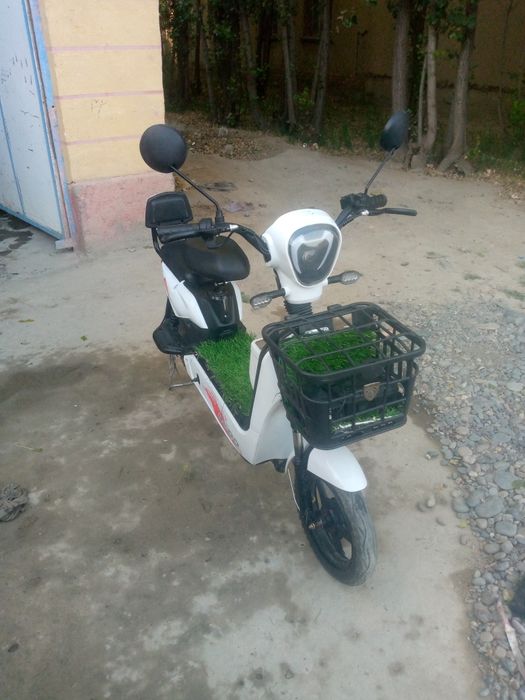 Skuter bodo yangi