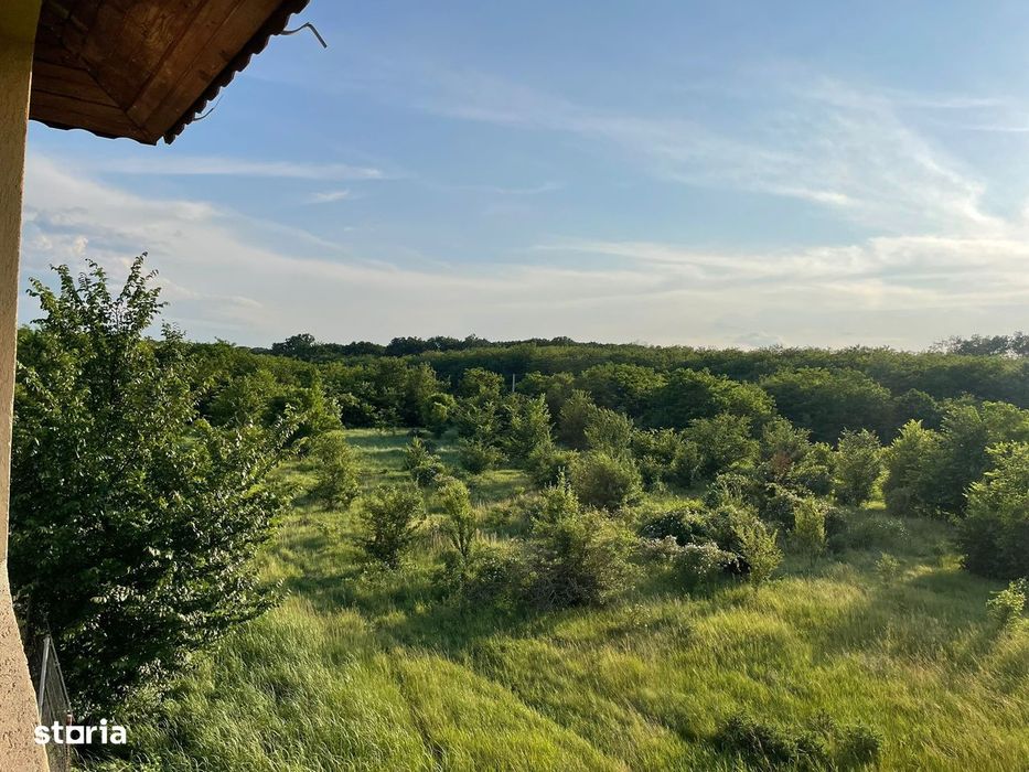 Vila Lux Dragomiresti vale cu mutare rapida 2000mp curte