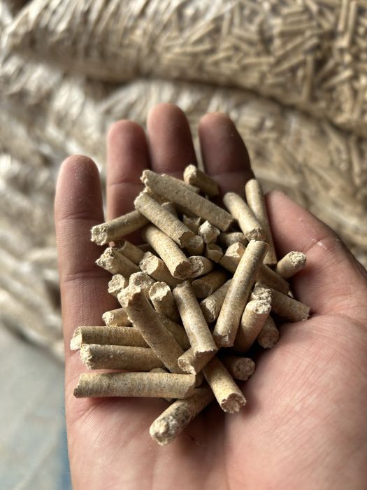 Peleți rășinoase/Preț de producator