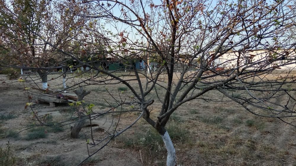 Termiz tumanida yer sotiladi kelishamiz