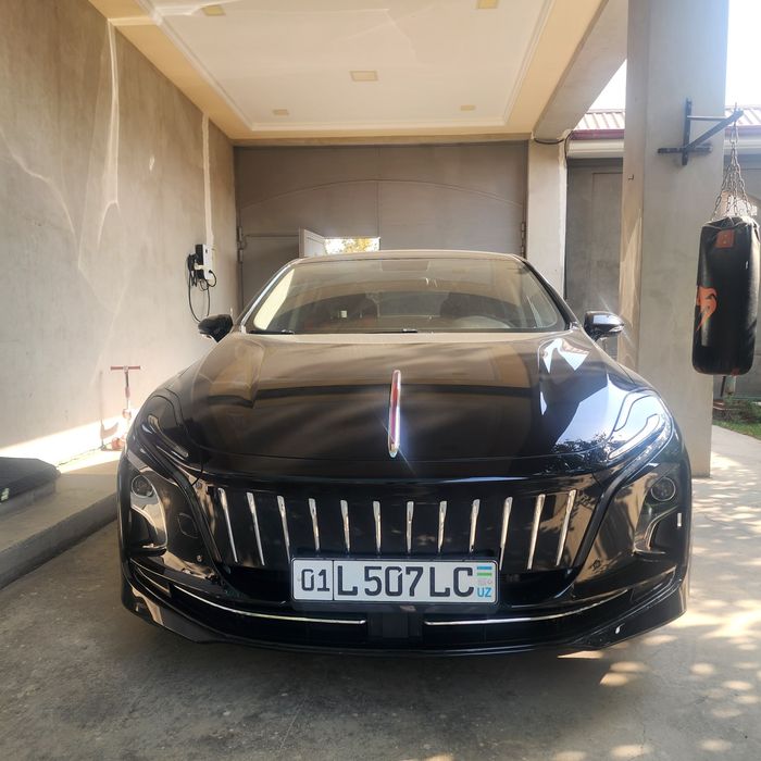 Hongqi e-qm5 431