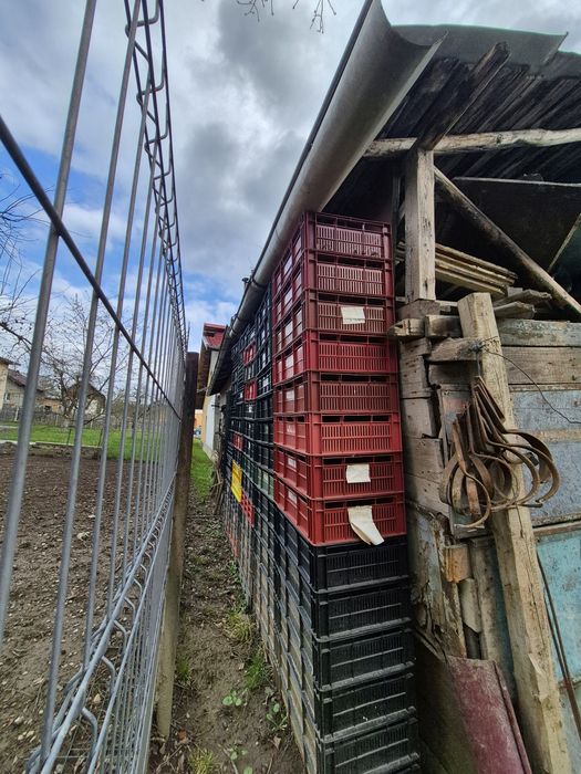 lazi plastic pentru diferite alimente