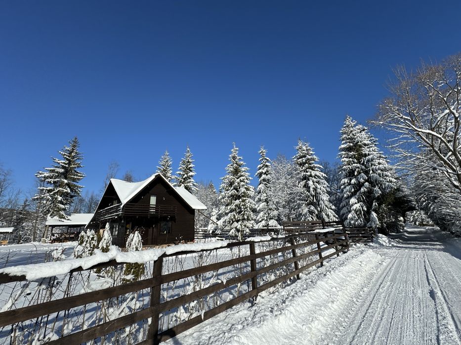 Cabana de inchiriat cu ciubar si sauna