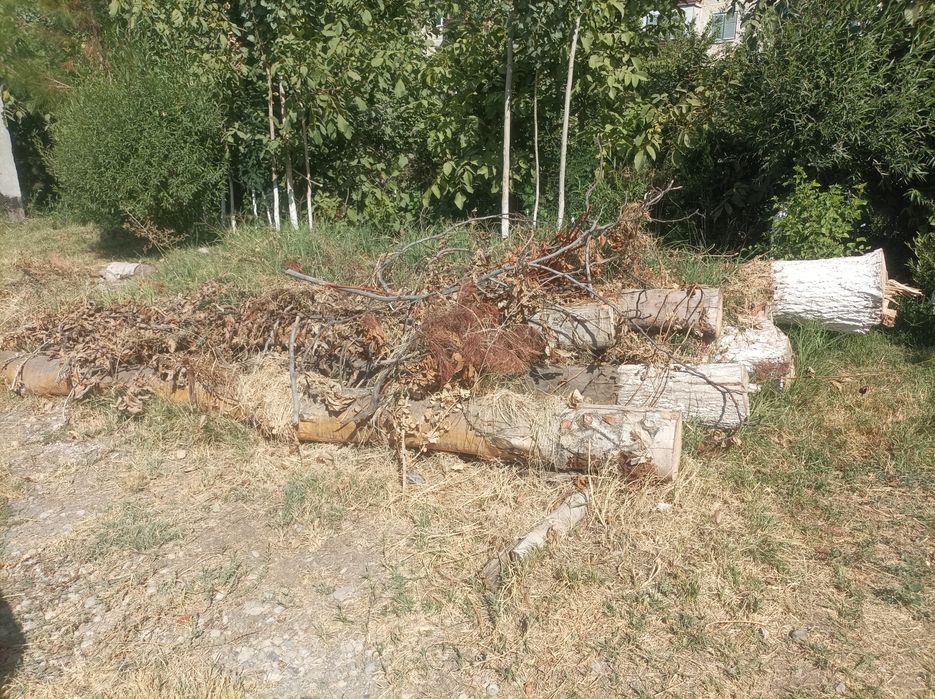 Terak .Терак сотилади