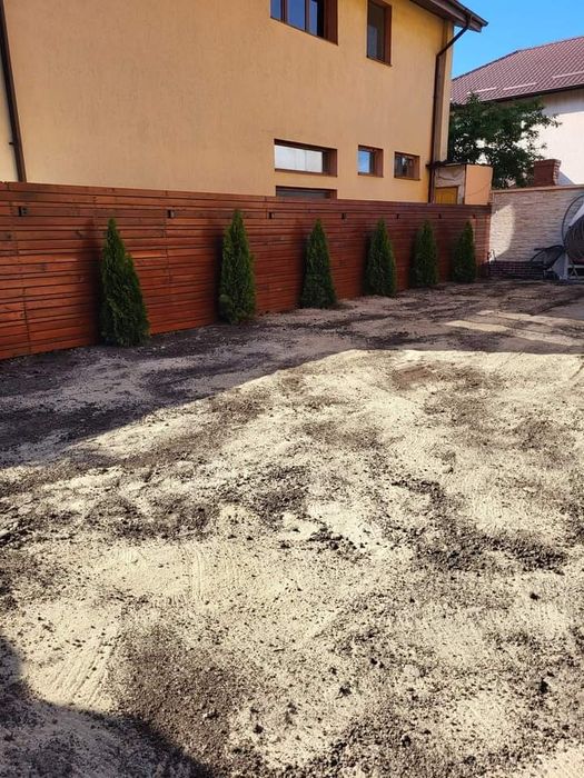 Gazon rulou plante ornamentale