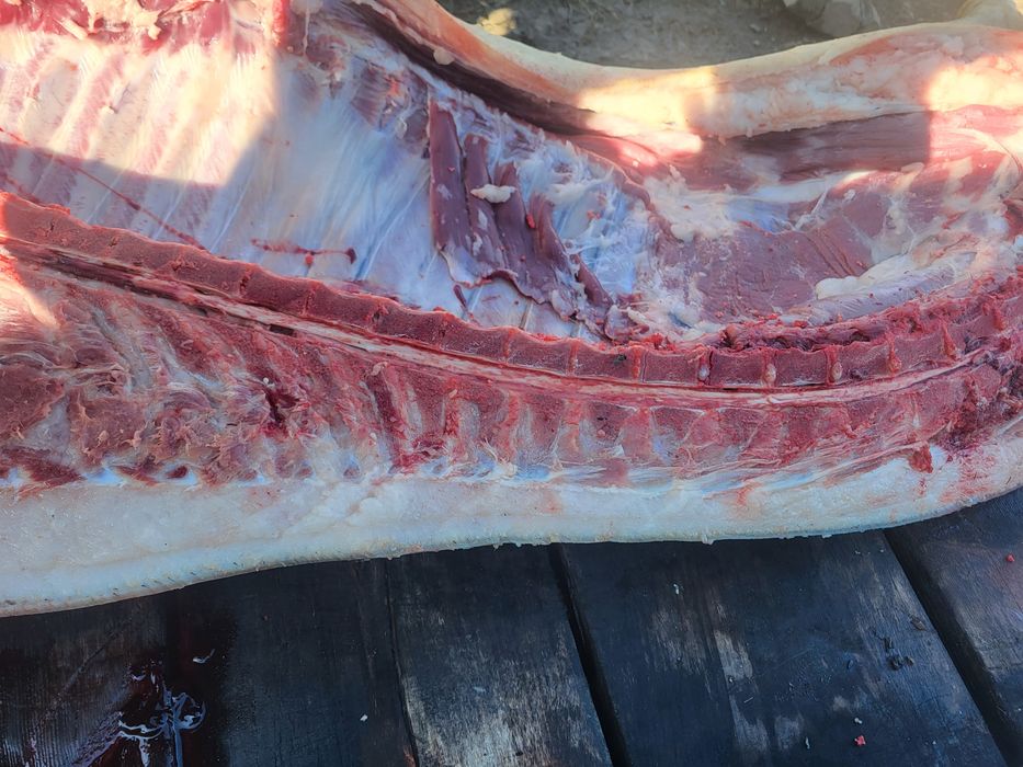 Свинина мясо свинины домашнее тушками с бесплатной доставкой до двери