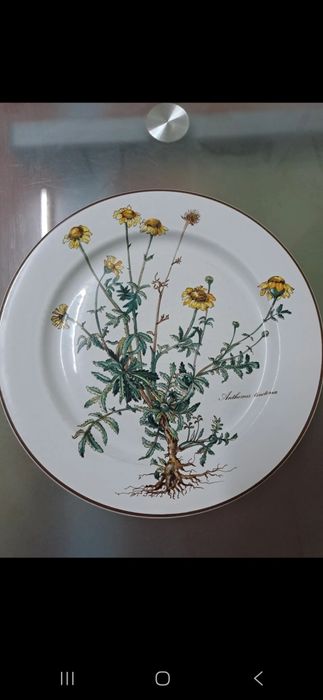 Farfurii Villeroy & Boch