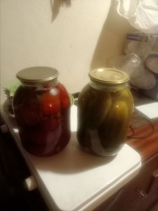 Соленья заготовки