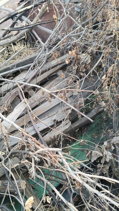 Дрова самовывоз!