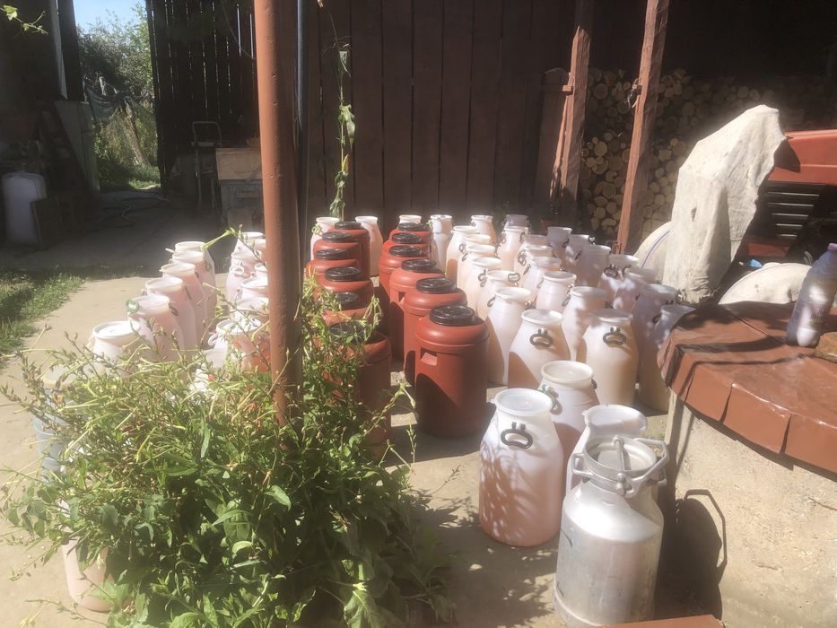 Vand miere de albine naturala salcam