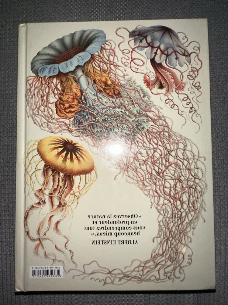 L’art et la science de Ernst Haeckel. 40th Ed.