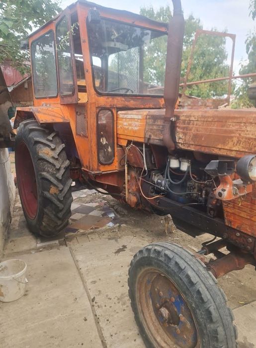 vand sau schimb cu vaci/vitei ,tractor U650 i