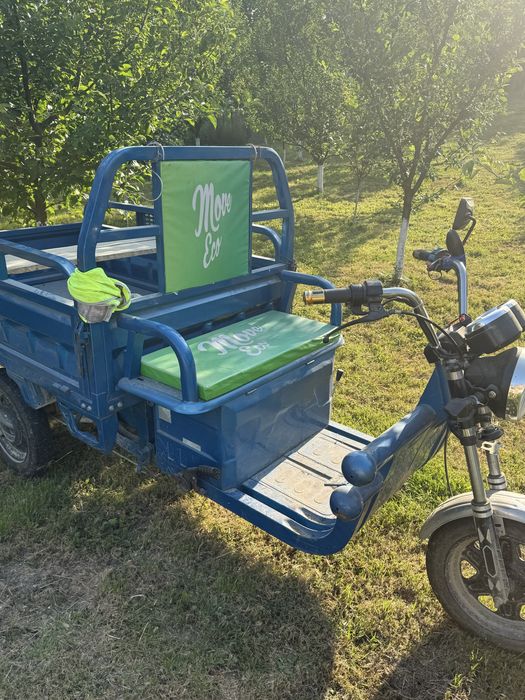 Triciclu electric Cargo Move Eco