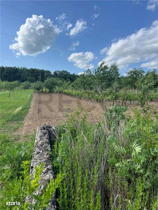 Reco Teren Cu Fundatie In Petreu