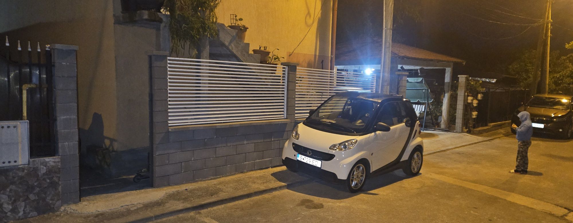 Vand smart fortwo 451 2013