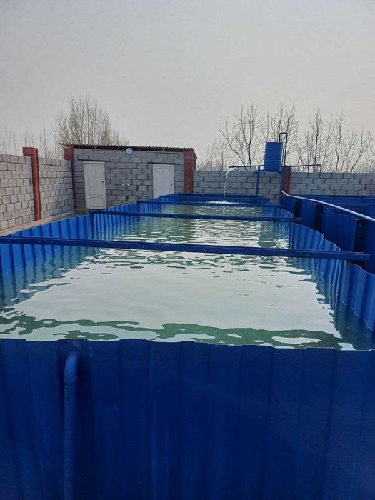 Хакулобод тумани, Ленинобод кишлогида баликхона сотилади