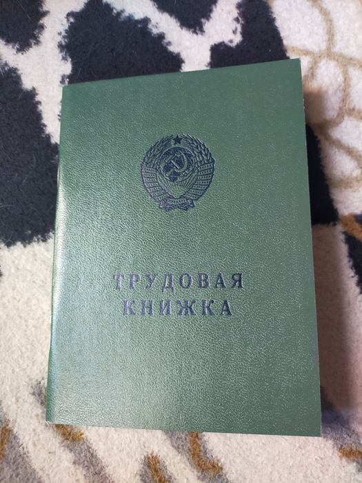 *Трудовая- книжка.*
