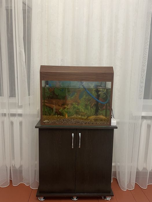 Продаю аквариум с рыбками