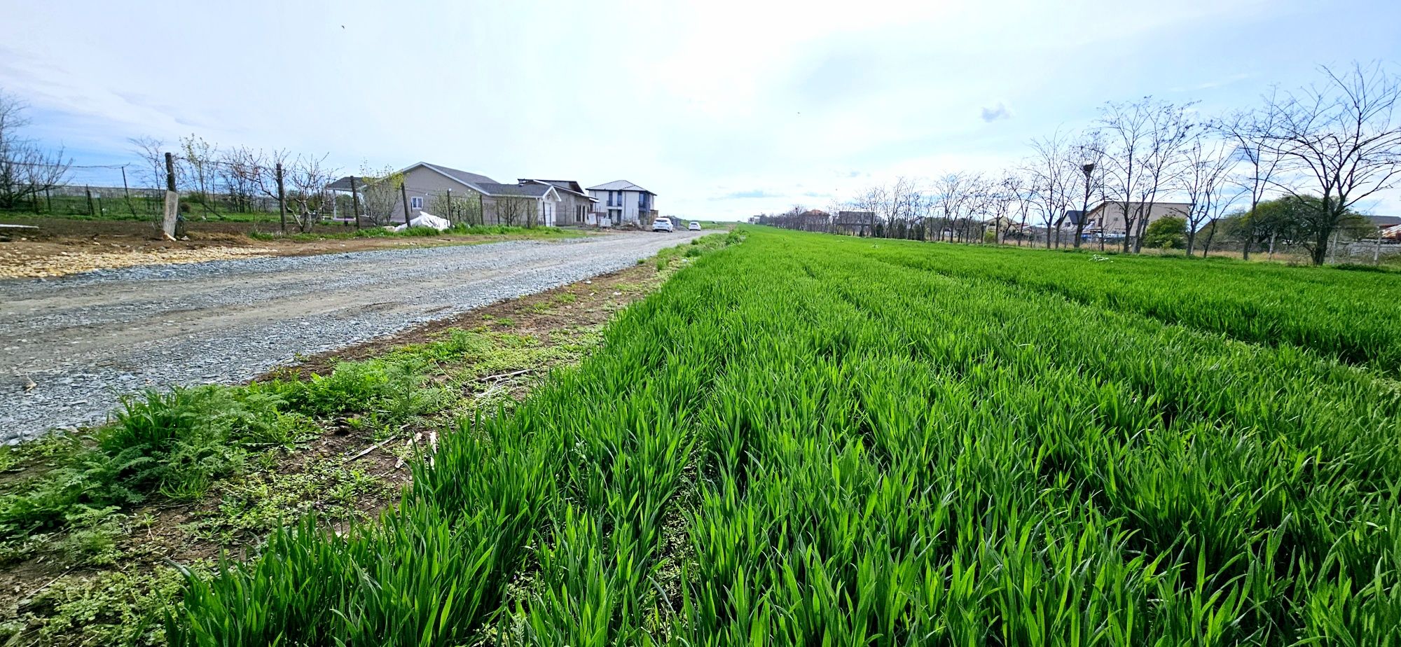 Lot vilă Ovidiu 420m²