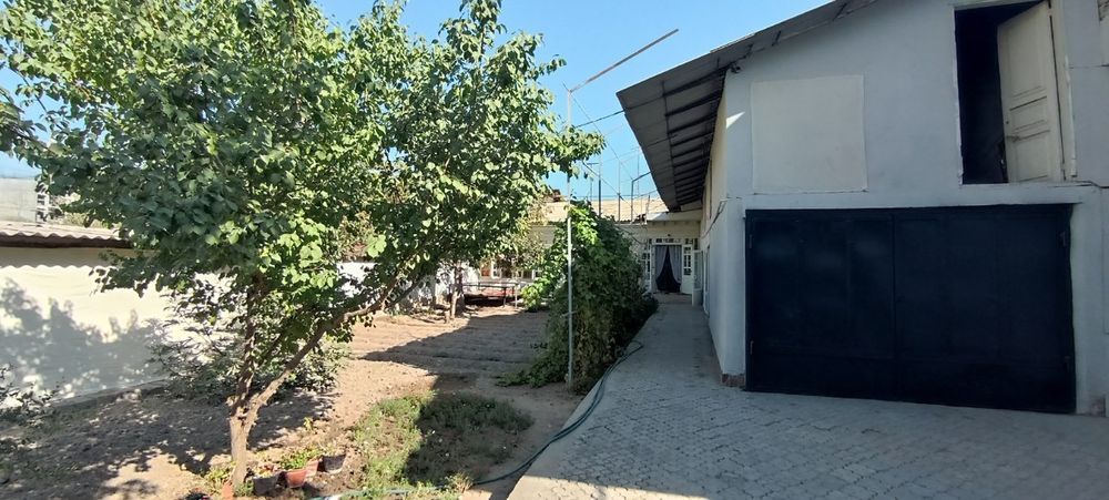 Участок олмос Яккатол 5.35 соток