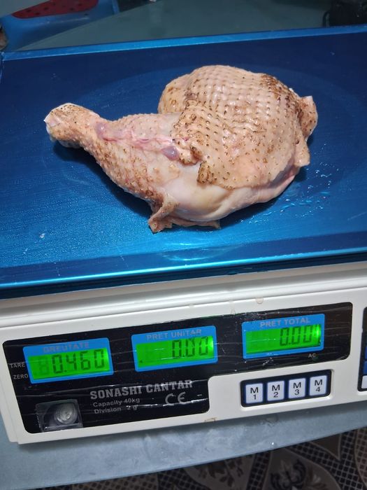 Puicuțe ouătoare și pui de carne