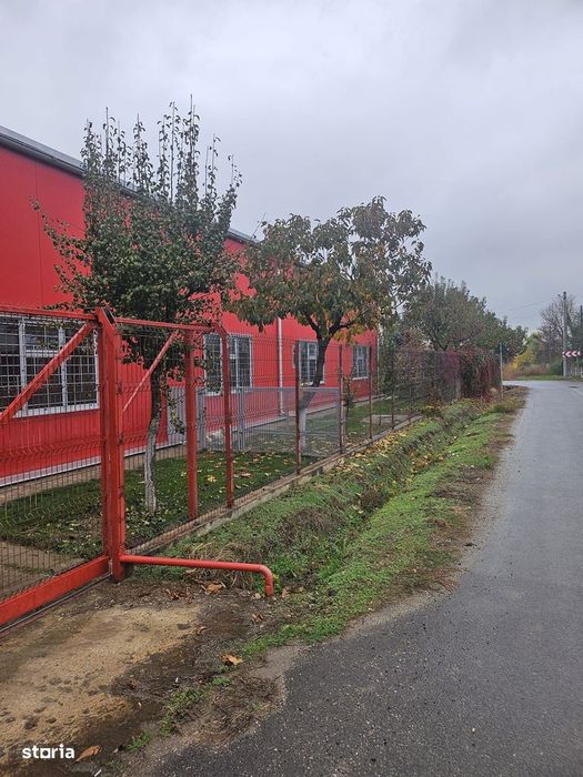 Hala 437 mp Domnesti - Pasaj