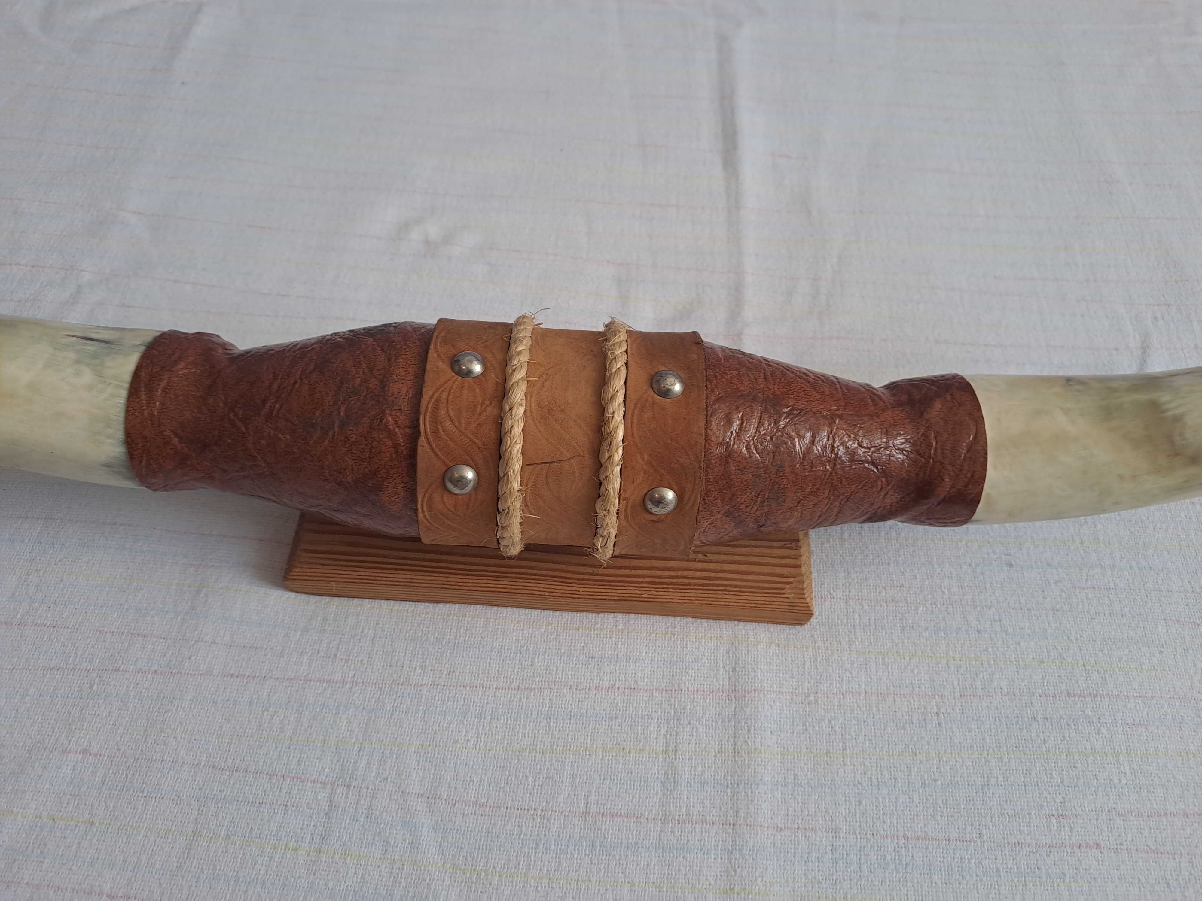 trofeu coarne bivol coarne taur 74 cm