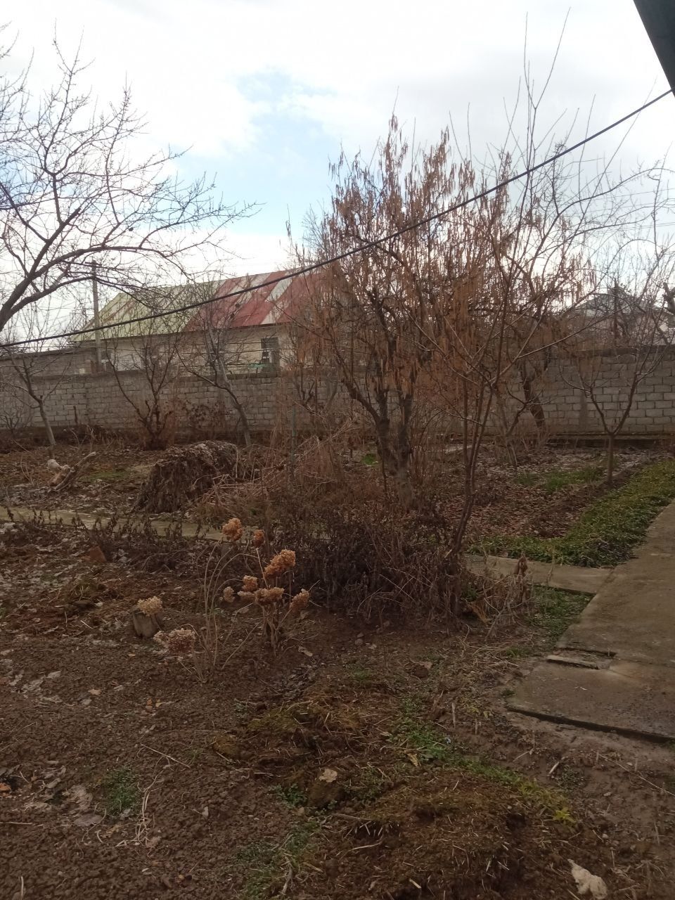 Dacha sotiladi Parkent nilufarda Дача в Паркенте Нилюфар