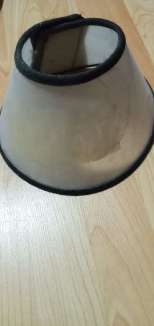 Домашние животные