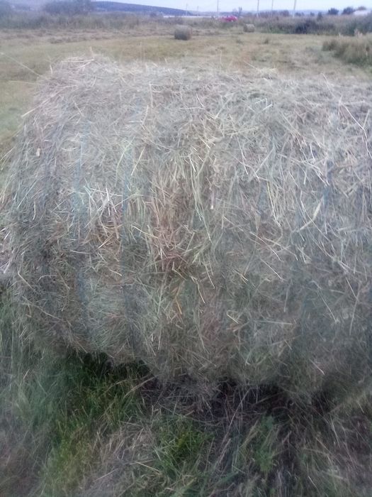 Vind baloti fin dimensiune 120/120