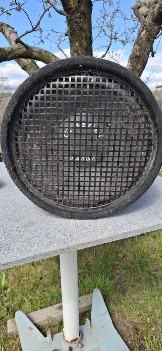 Subwoofer auto Blaupunkt