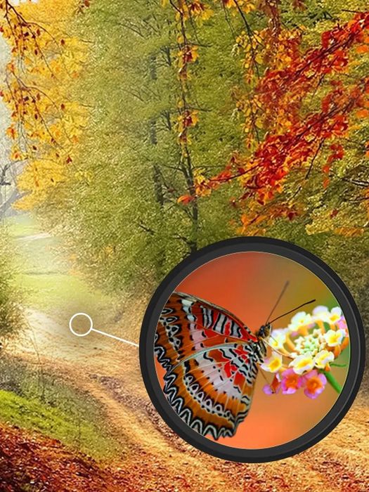 Бинокль монокль монокуляр мощный профессиональный для охоты и туризма