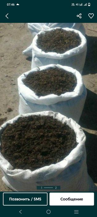 Чернозём перегной