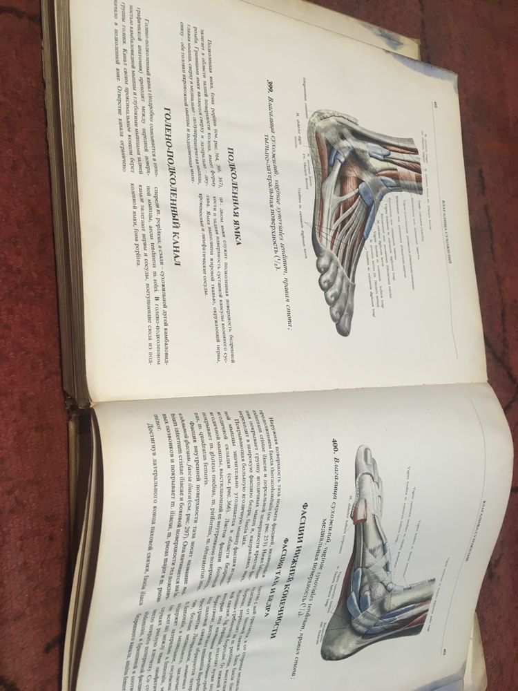 Атлас по анатомия