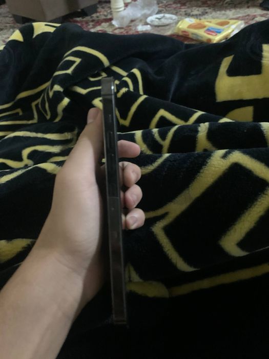 13 PRO MAX 10/10 holat