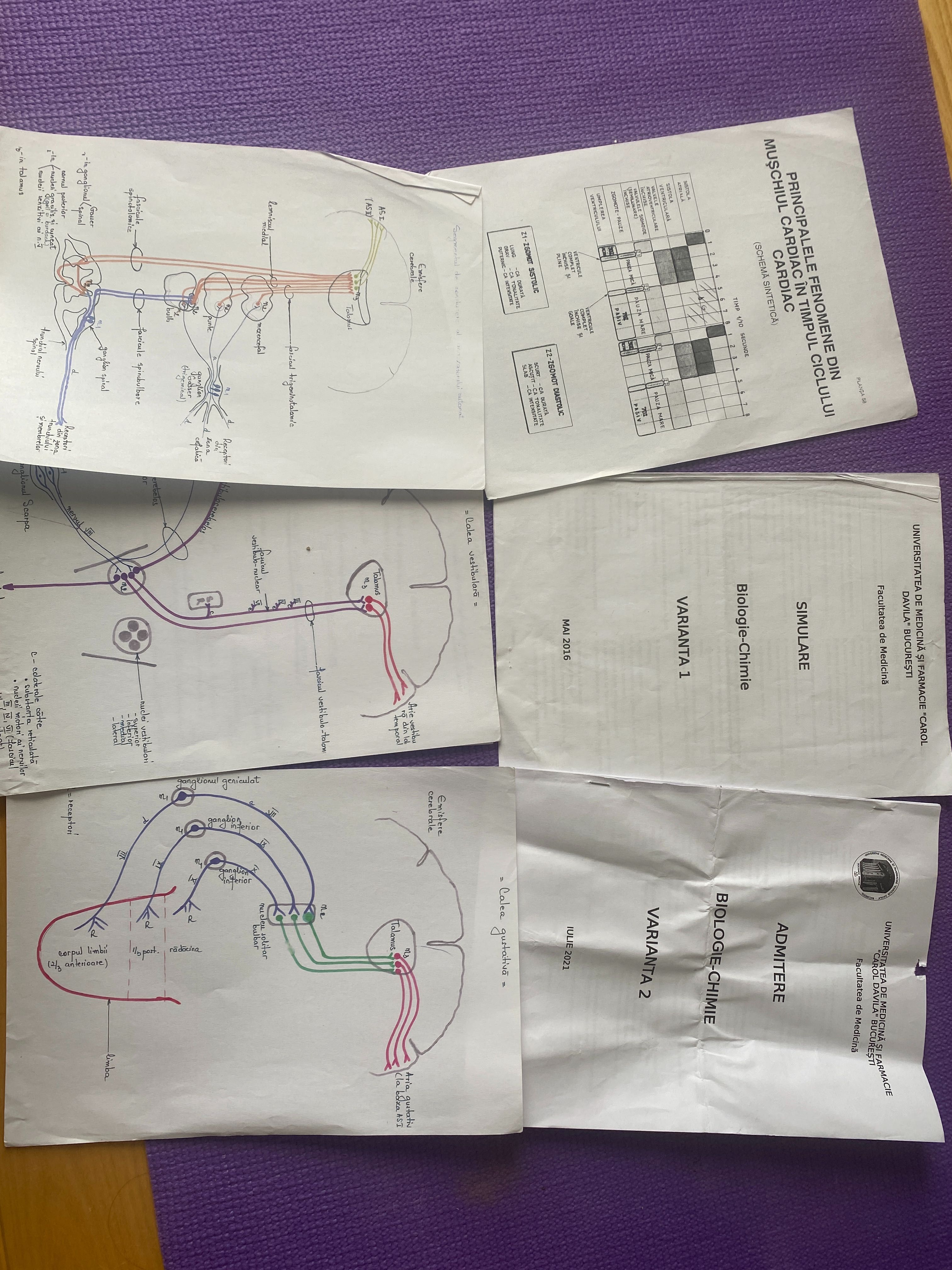 Admitere medicina UMFCD grile biologie - chimie + manual