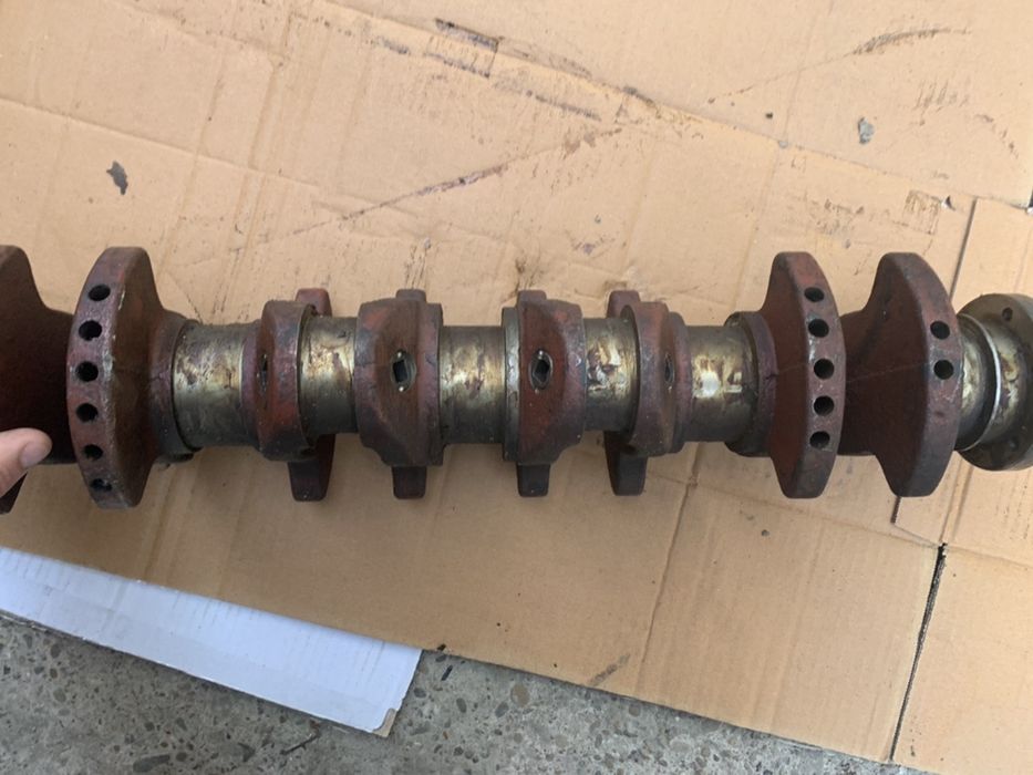 Epoca arbore vibrochen aro,ims,Sr,Buceag,l25,carpati,m461