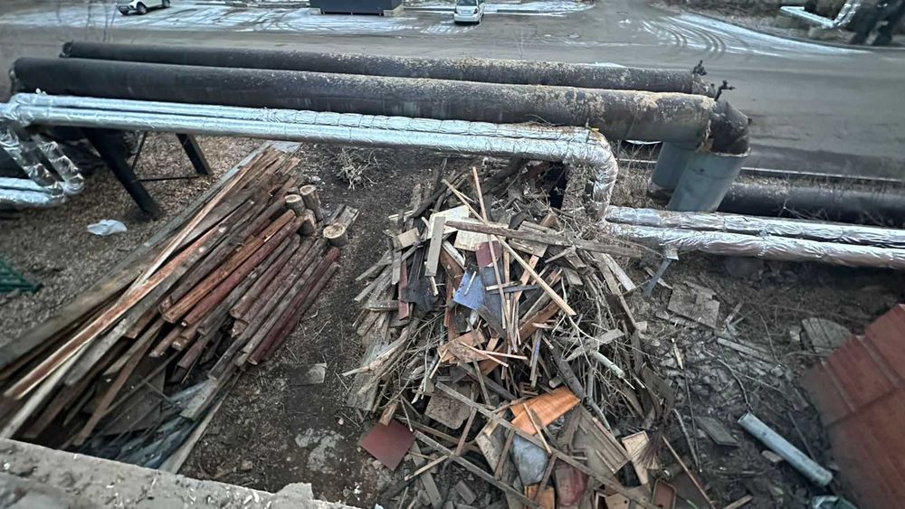 Дрова бесплатно. Самовывоз