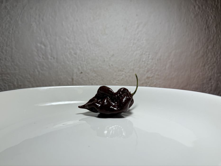 Предварителните поръчки за разсад от люти чушки вече са отворени.