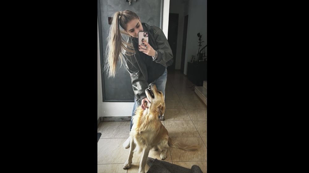 Plimb caini - Zona Pipera, Voluntari, Herastrau, Floreasca, Baneasa