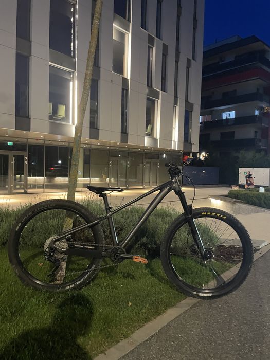 Hardtail giant stp