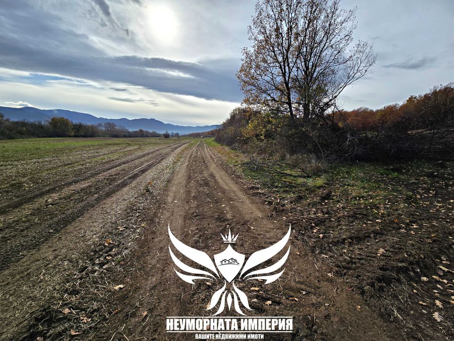 Продавам два броя земи в село Стоево 1120кв.м.  общ.Асеновград