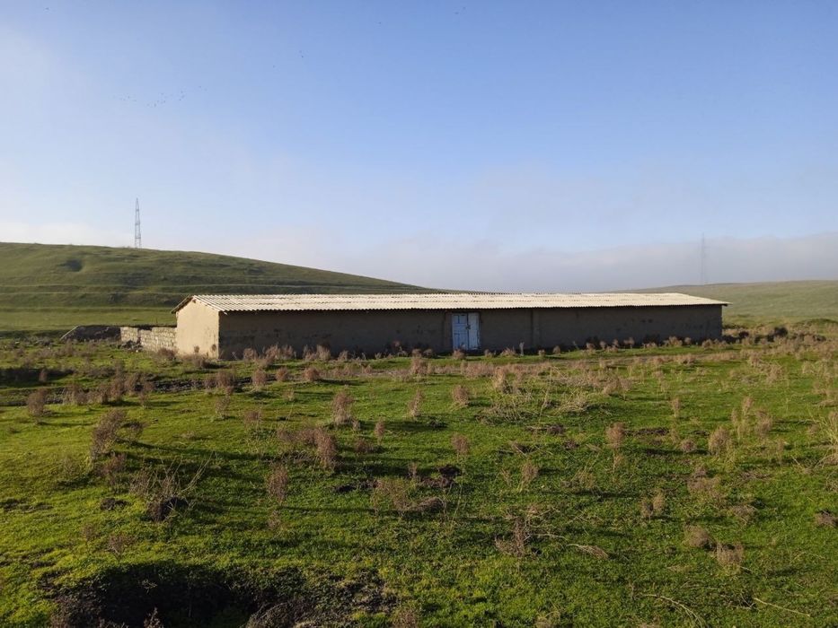 Ferma, qo’ra, molxona. Qo’yxona