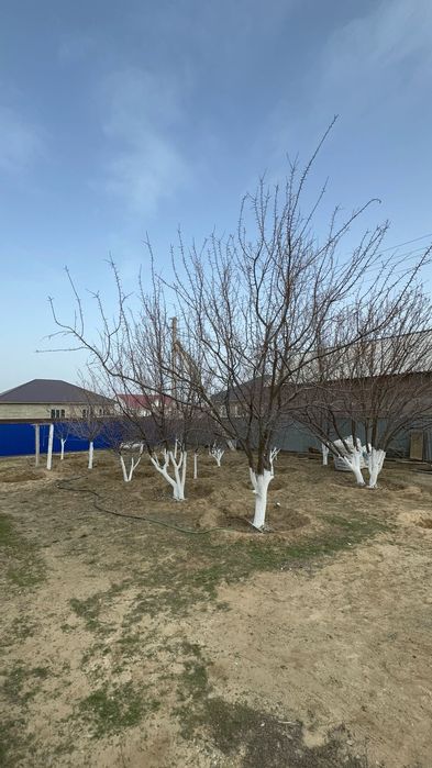 Продаётся дом и времянка