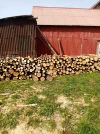 Vând lemne de brad