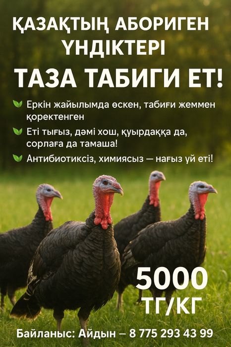 Индейка домашняя